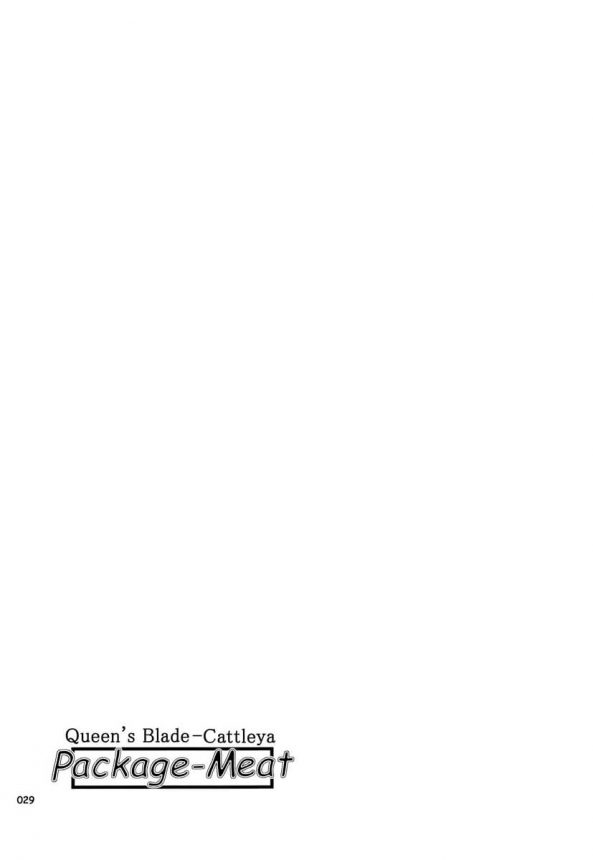 【エロ同人 クイーンズブレイド】爆乳でムチムチな武器屋カトレアがエロい水着姿で手コキしたりフェラチオしたりｗ【しあわせプリン堂 エロ漫画】 (28)