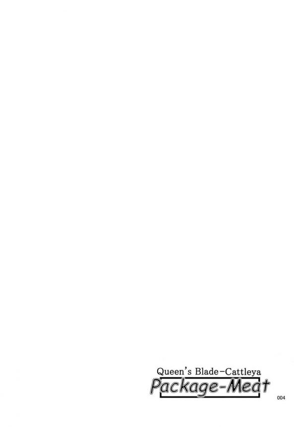 【エロ同人 クイーンズブレイド】爆乳でムチムチな武器屋カトレアがエロい水着姿で手コキしたりフェラチオしたりｗ【しあわせプリン堂 エロ漫画】 (3)